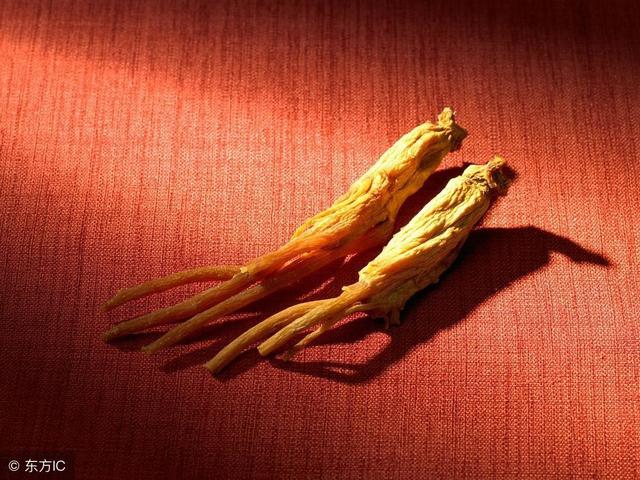 人参为什么被称为“百草之王”？